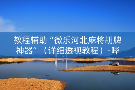 教程辅助“微乐河北麻将胡牌神器”（详细透视教程）-哔哩哔哩