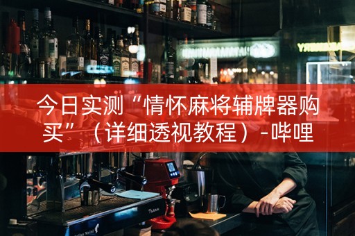 今日实测“情怀麻将辅牌器购买”（详细透视教程）-哔哩哔哩