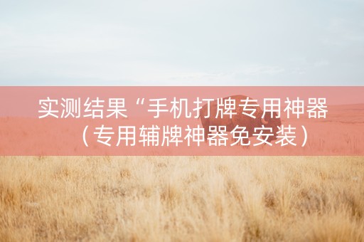 实测结果“手机打牌专用神器（专用辅牌神器免安装）
