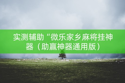 实测辅助“微乐家乡麻将挂神器（助赢神器通用版）