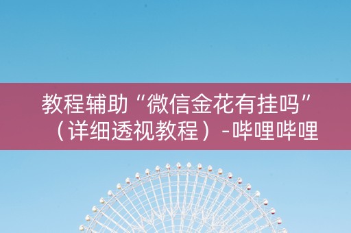 教程辅助“微信金花有挂吗”（详细透视教程）-哔哩哔哩