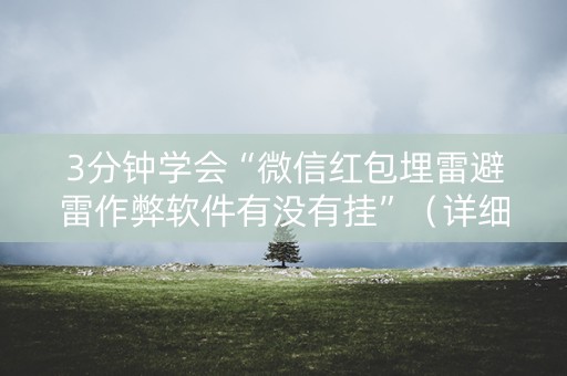 3分钟学会“微信红包埋雷避雷作弊软件有没有挂”（详细透视教程）-哔哩哔哩