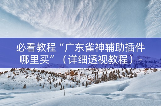 必看教程“广东雀神辅助插件哪里买”（详细透视教程）-哔哩哔哩