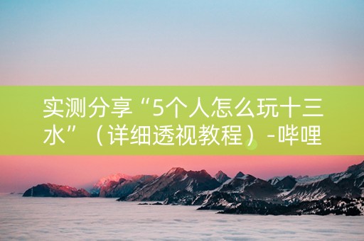 实测分享“5个人怎么玩十三水”（详细透视教程）-哔哩哔哩