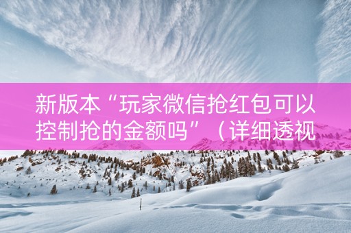 新版本“玩家微信抢红包可以控制抢的金额吗”（详细透视教程）-哔哩哔哩
