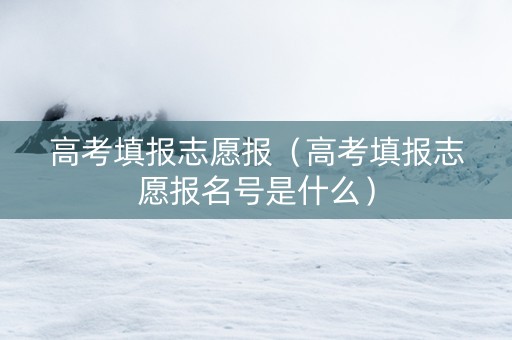 高考填报志愿报（高考填报志愿报名号是什么）