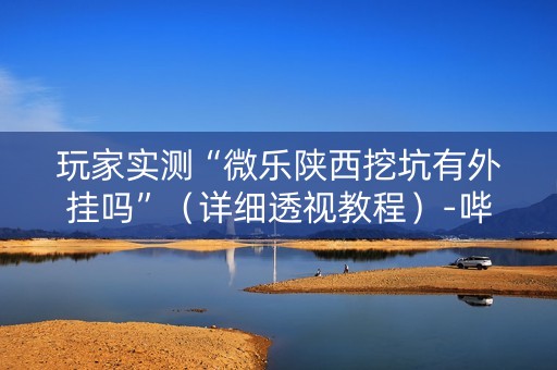 玩家实测“微乐陕西挖坑有外挂吗”（详细透视教程）-哔哩哔哩
