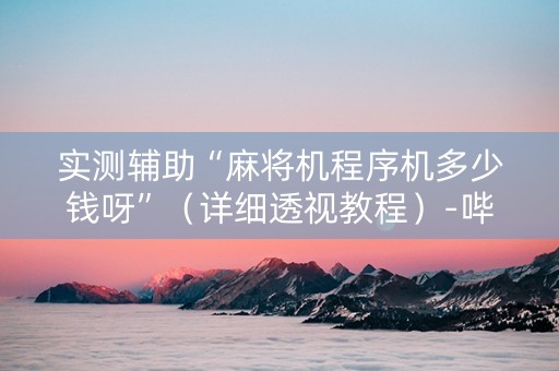 实测辅助“麻将机程序机多少钱呀”（详细透视教程）-哔哩哔哩