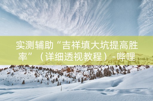 实测辅助“吉祥填大坑提高胜率”（详细透视教程）-哔哩哔哩