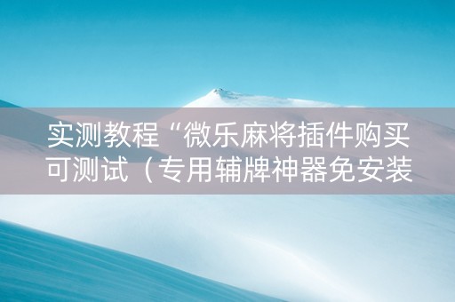 实测教程“微乐麻将插件购买可测试（专用辅牌神器免安装）