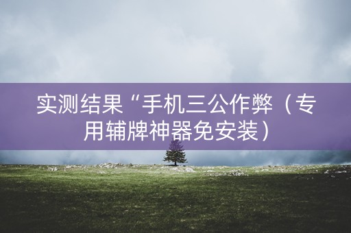 实测结果“手机三公作弊（专用辅牌神器免安装）