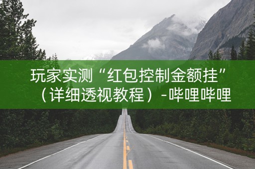 玩家实测“红包控制金额挂”（详细透视教程）-哔哩哔哩