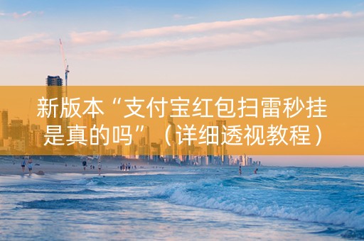 新版本“支付宝红包扫雷秒挂是真的吗”（详细透视教程）-哔哩哔哩