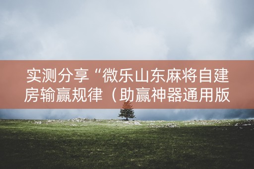 实测分享“微乐山东麻将自建房输赢规律（助赢神器通用版）
