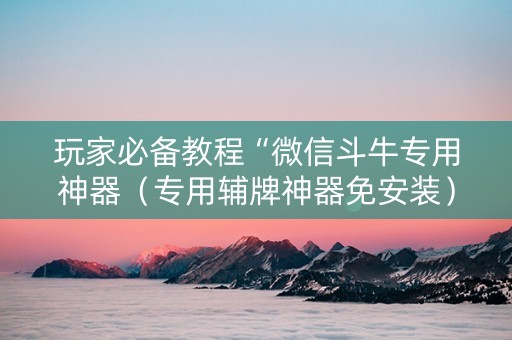 玩家必备教程“微信斗牛专用神器（专用辅牌神器免安装）