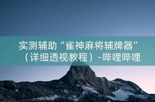 实测辅助“雀神麻将辅牌器”（详细透视教程）-哔哩哔哩