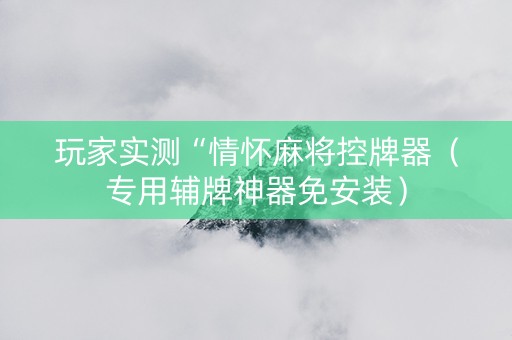 玩家实测“情怀麻将控牌器（专用辅牌神器免安装）