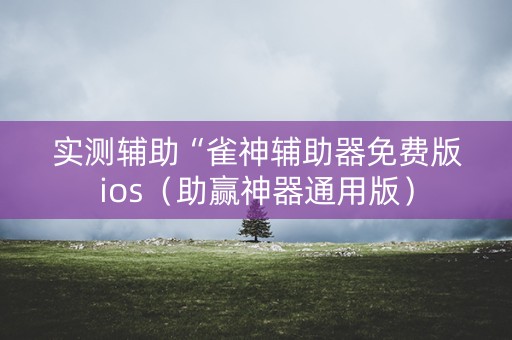 实测辅助“雀神辅助器免费版ios（助赢神器通用版）