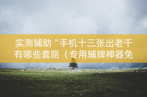 实测辅助“手机十三张出老千有哪些套路（专用辅牌神器免安装）