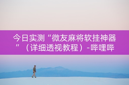 今日实测“微友麻将软挂神器”（详细透视教程）-哔哩哔哩