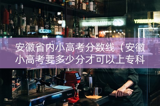 安徽省内小高考分数线（安徽小高考要多少分才可以上专科）