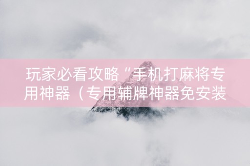 玩家必看攻略“手机打麻将专用神器（专用辅牌神器免安装）