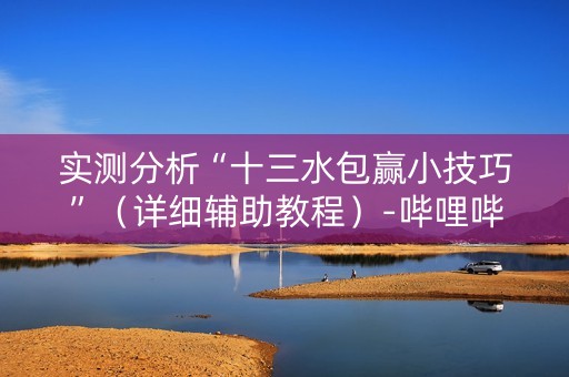 实测分析“十三水包赢小技巧”（详细辅助教程）-哔哩哔哩