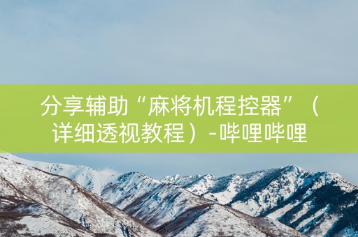 分享辅助“麻将机程控器”（详细透视教程）-哔哩哔哩