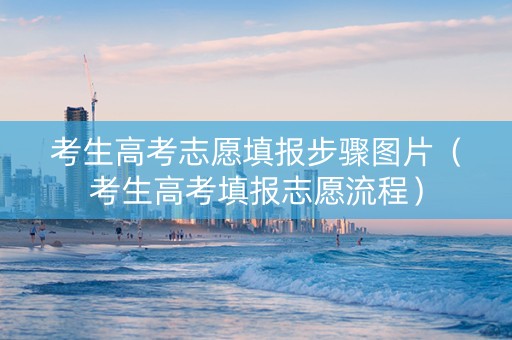 考生高考志愿填报步骤图片（考生高考填报志愿流程）