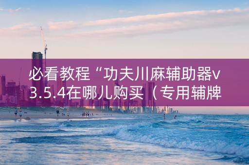 必看教程“功夫川麻辅助器v3.5.4在哪儿购买（专用辅牌神器免安装）