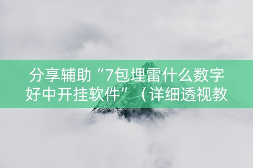 分享辅助“7包埋雷什么数字好中开挂软件”（详细透视教程）-哔哩哔哩