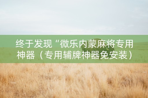 终于发现“微乐内蒙麻将专用神器（专用辅牌神器免安装）