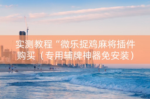 实测教程“微乐捉鸡麻将插件购买（专用辅牌神器免安装）