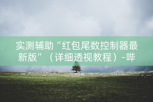 实测辅助“红包尾数控制器最新版”（详细透视教程）-哔哩哔哩