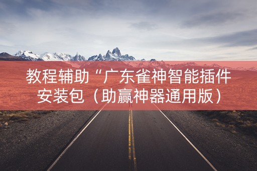 教程辅助“广东雀神智能插件安装包（助赢神器通用版）