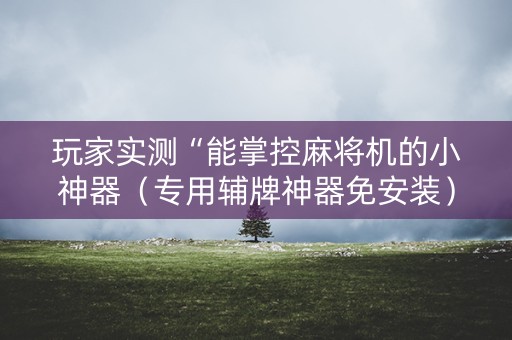 玩家实测“能掌控麻将机的小神器（专用辅牌神器免安装）
