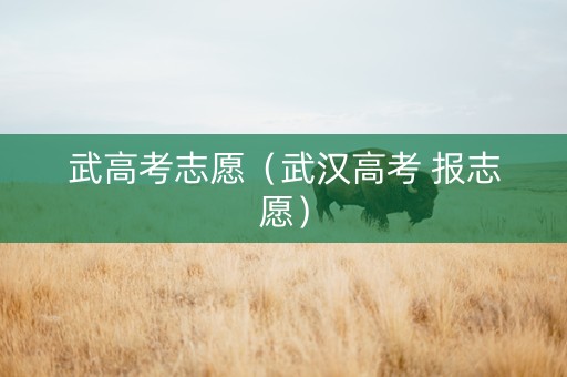 武高考志愿（武汉高考 报志愿）