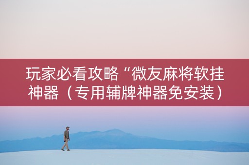 玩家必看攻略“微友麻将软挂神器（专用辅牌神器免安装）