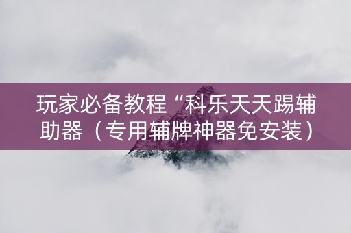 玩家必备教程“科乐天天踢辅助器（专用辅牌神器免安装）