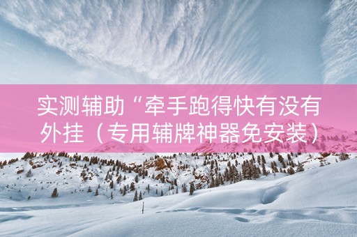 实测辅助“牵手跑得快有没有外挂（专用辅牌神器免安装）