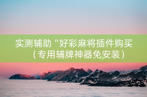 实测辅助“好彩麻将插件购买（专用辅牌神器免安装）