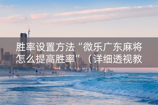 胜率设置方法“微乐广东麻将怎么提高胜率”（详细透视教程）-哔哩哔哩