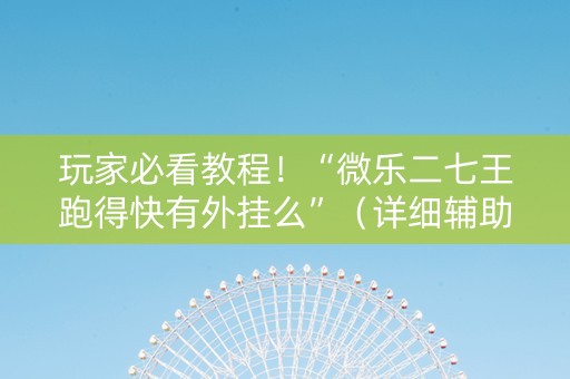 玩家必看教程！“微乐二七王跑得快有外挂么”（详细辅助教程）-哔哩哔哩