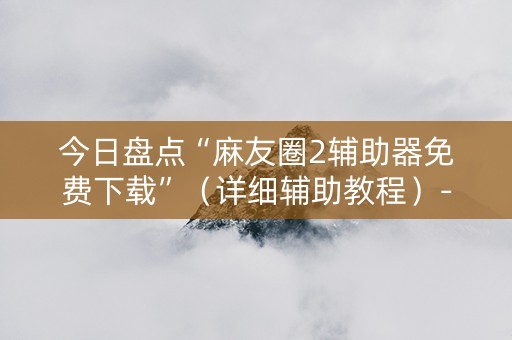 今日盘点“麻友圈2辅助器免费下载”（详细辅助教程）-哔哩哔哩