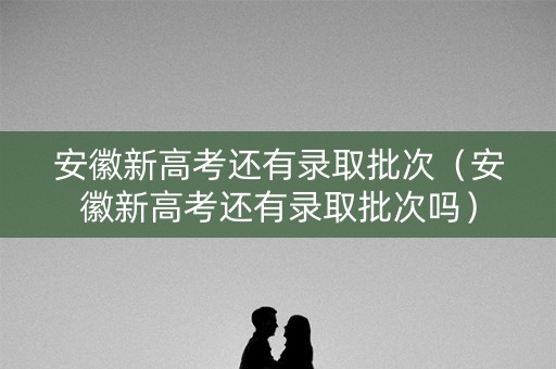 安徽新高考还有录取批次（安徽新高考还有录取批次吗）