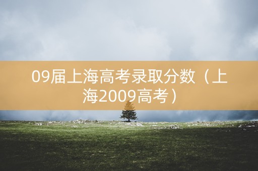 09届上海高考录取分数（上海2009高考）