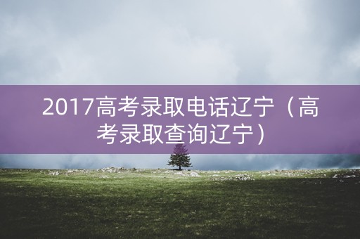 2017高考录取电话辽宁（高考录取查询辽宁）