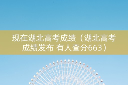 现在湖北高考成绩（湖北高考成绩发布 有人查分663）