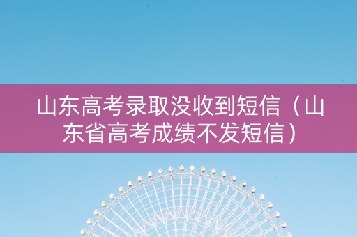 山东高考录取没收到短信（山东省高考成绩不发短信）