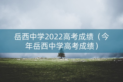 岳西中学2022高考成绩（今年岳西中学高考成绩）
